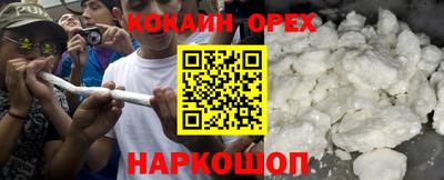 гашик Можга