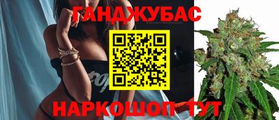 гашик Можга