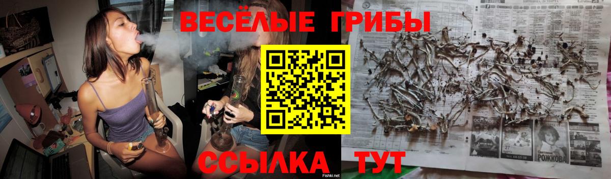Трёхгорный  Псилоцибиновые грибы Psilocybine cubensis  Вход с VPN 
